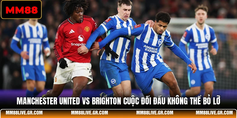 Manchester United vs Brighton Cuộc Đối Đầu Không Thể Bỏ Lỡ