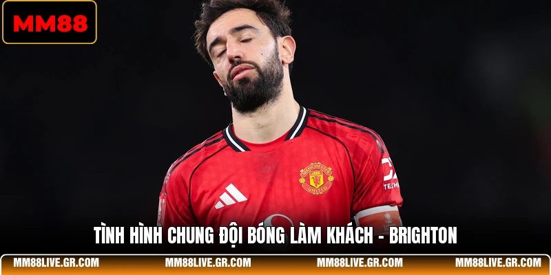 Tình hình chung đội bóng làm khách - Brighton